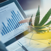 3 Marijuana Stocks To Watch Mid-October 2024