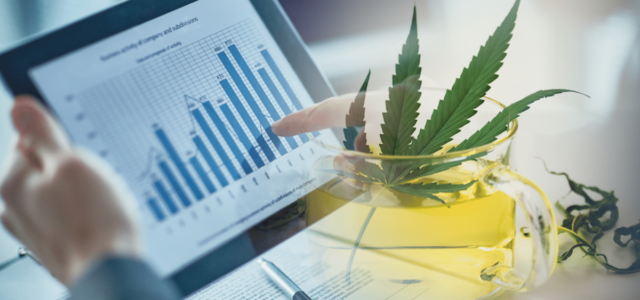 3 Marijuana Stocks To Watch Mid-October 2024