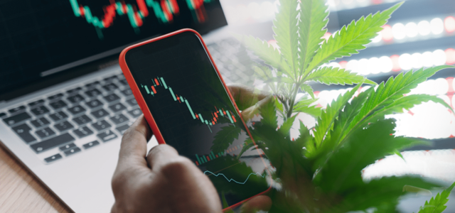 3 Marijuana Stocks To Watch This Week In October