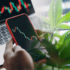 3 Marijuana Stocks To Watch This Week In October