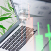 Cannabis Stocks to Watch in October 2024: Leading the Green Revolution