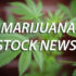 The Best Marijuana Stocks To See Profits In Q4