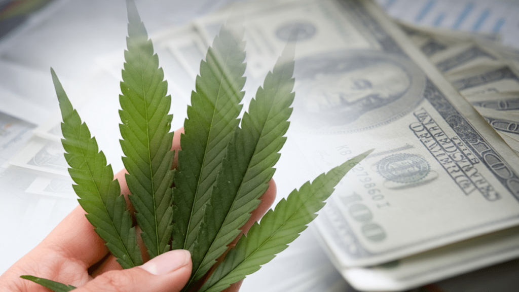 Top Marijuana Stocks For Watchlist Before November 
The post Top Marijuana Stocks Investors Should Watch This Month for Big Gains appeared first on Marijuana Stocks | Cannabis Investments and News. Roots of a Budding Industry.™.