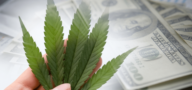 Top Marijuana Stocks Investors Should Watch This Month for Big Gains