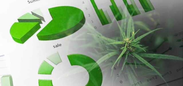 2 Marijuana Stocks For Your 2025 Portfolio