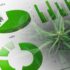 2 Marijuana Stocks For Your 2025 Portfolio