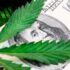 2 Marijuana Stocks For Your November Watchlist