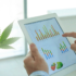 3 Marijuana Stocks For Today Watchlist