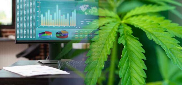 3 Marijuana Stocks For Traders To Hit Potential Gains In 2025