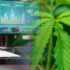 3 Marijuana Stocks For Traders To Hit Potential Gains In 2025