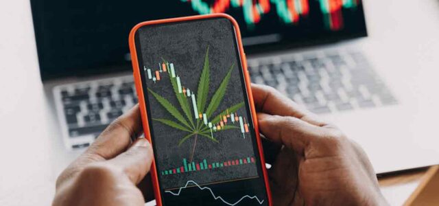 3 Marijuana Stocks To Buy And Hold For Better Gains