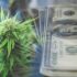 3 Marijuana Stocks To Watch After The Presidential Election