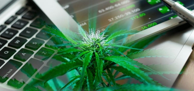 Best Ancillary Cannabis Stocks Positioned for Growth Amid Market Pullback