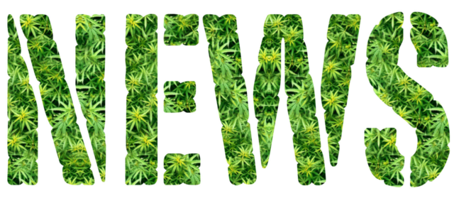 Hemp and the New Senate Farm Bill