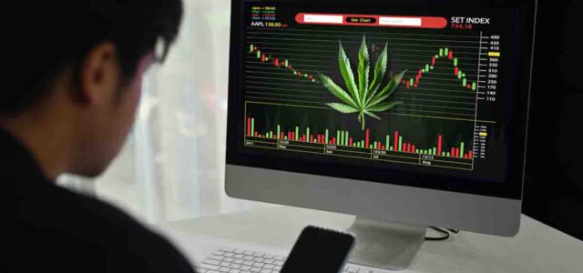 The Best 3 Marijuana Stocks For Investors To Follow