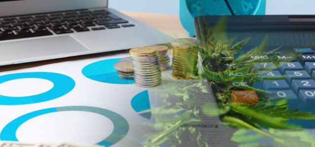 3 Cannabis Stocks In The Public Sector You Should Know About