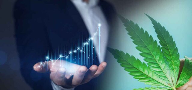 3 Marijuana Stocks For Future Gains