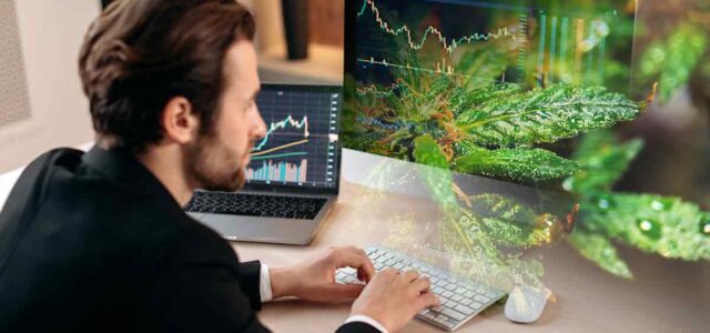 3 Marijuana Stocks To Watch Before The Next Run