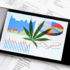 3 Top Marijuana Stocks To Watch Today For Better Momentum