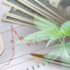 Best Canadian Cannabis Stocks for Your December 2024 Watchlist