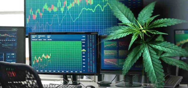 Closing 2024 Strong: Marijuana Stocks to Add to Your Watchlist