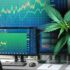 Closing 2024 Strong: Marijuana Stocks to Add to Your Watchlist