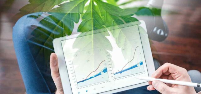 Investing in Cannabis: Best Marijuana Stocks for December 2024