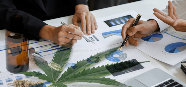 Top Cannabis Stocks For Investors To Know About It