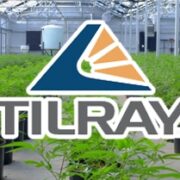 3 Canadian Marijuana Stocks For Long-Term Investing