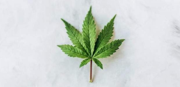 Another Federal Agency Helps Cannabis