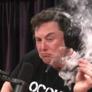 Elon Musk And The Potential Future Of Legal Cannabis