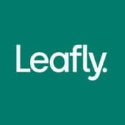 Top Ancillary Marijuana Stocks For The Diversified Investors