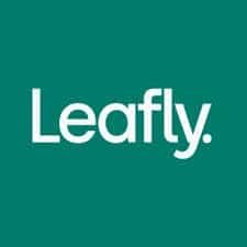 3 Marijuana Stocks That Could Be The Long Term Money Maker