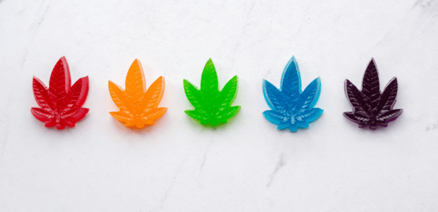 Cannabis Can Help Wean Off Zyn