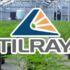 Top Marijuana Stocks In A Volatile Market