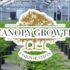 3 Marijuana Stocks For Longterm Investors