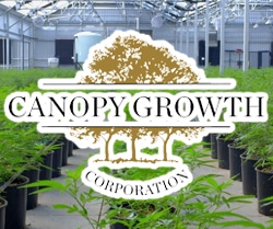 3 Marijuana Stocks For Longterm Investors